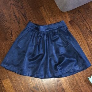 Dark Blue Skirt - Banana Republic